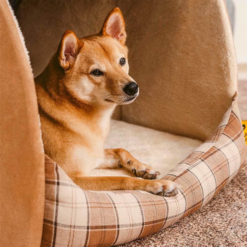 Lit orthopédique pour chien Classic Plaid House retraite chaleureuse - Image 7