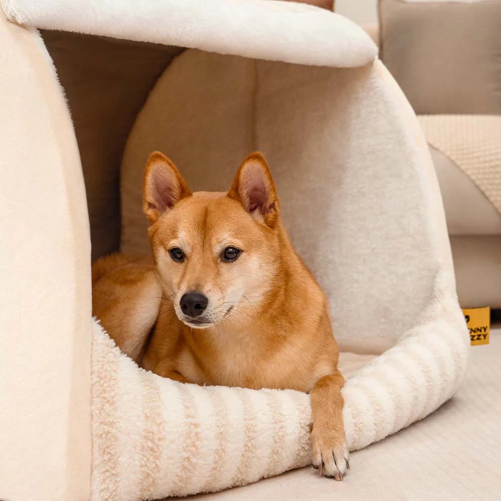 Lit orthopédique pour chien confortable - Stripe Trendy Maison - Image 11