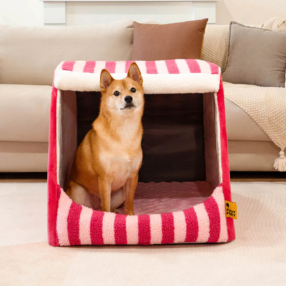 Lit orthopédique pour chien confortable - Stripe Trendy Maison - Image 2