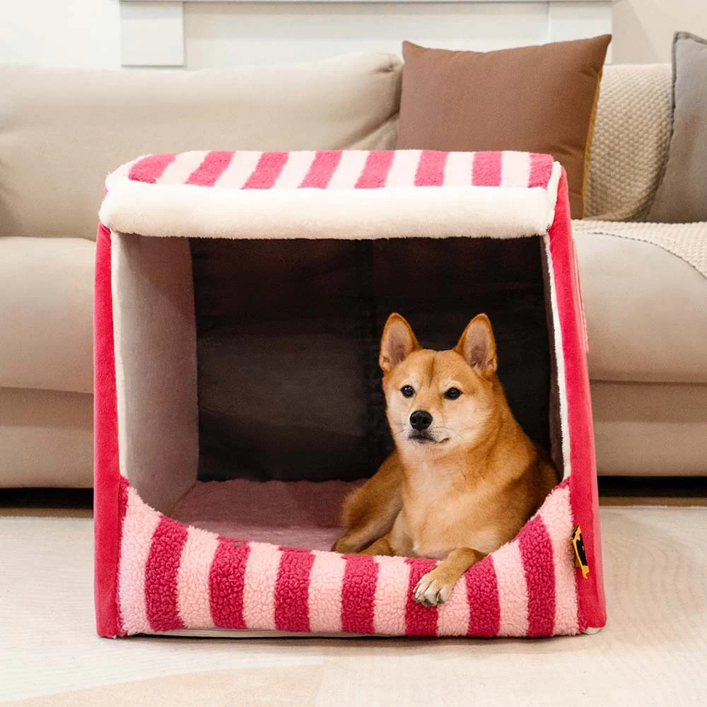 Lit orthopédique pour chien confortable - Stripe Trendy Maison - Image 3