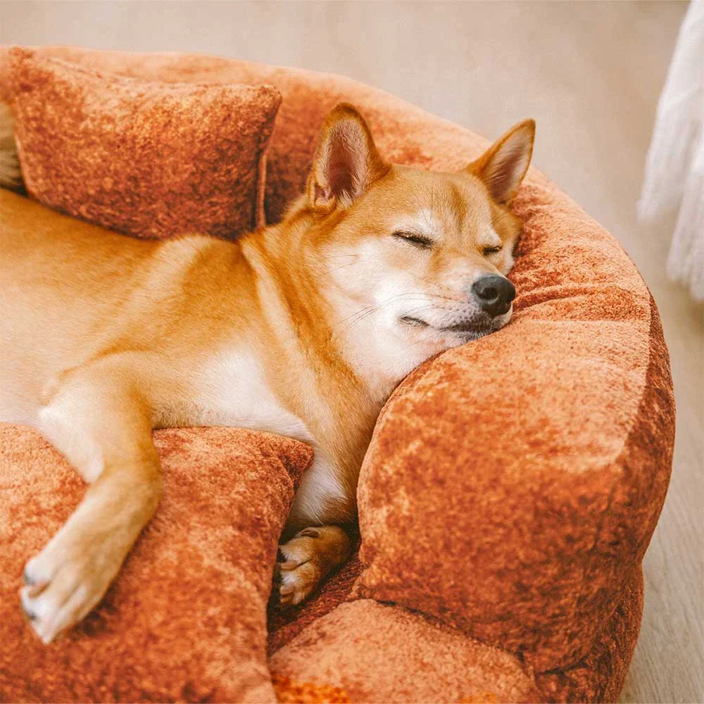 Lit orthopédique pour chien en velours diamant amovible en forme de donut avec coussin - DreamNest - Image 10