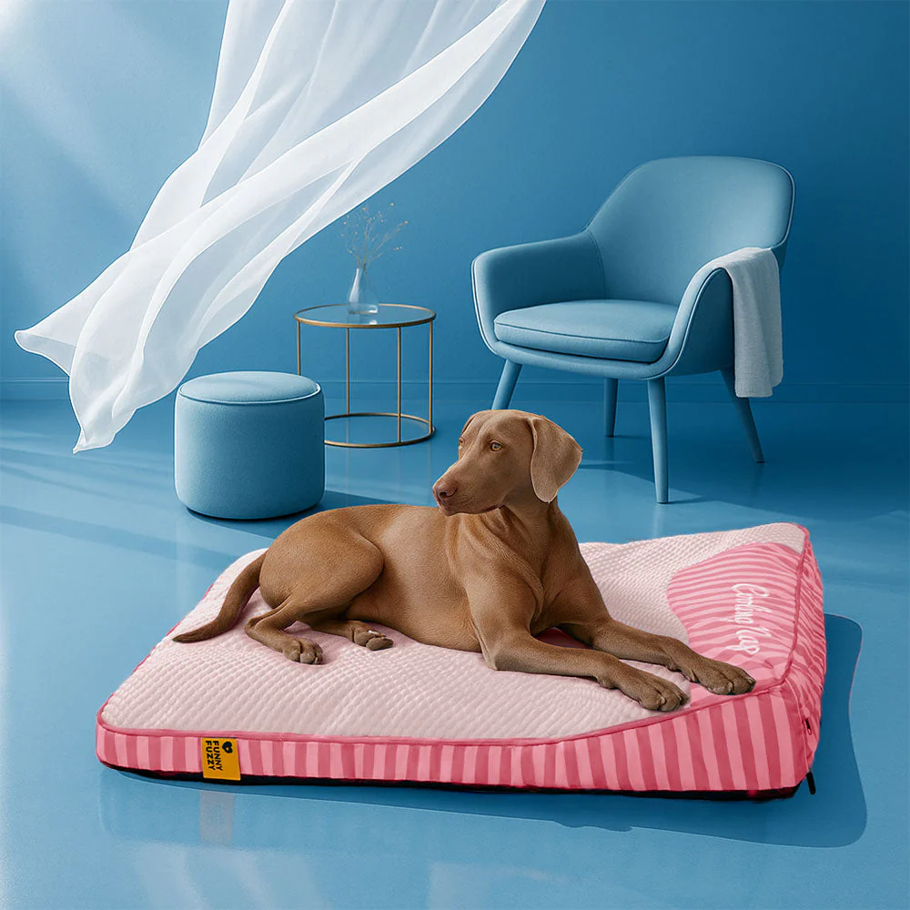 Lit orthopédique pour chien rectangulaire extra large, lavable et refroidissant - Extérieur - Image 14