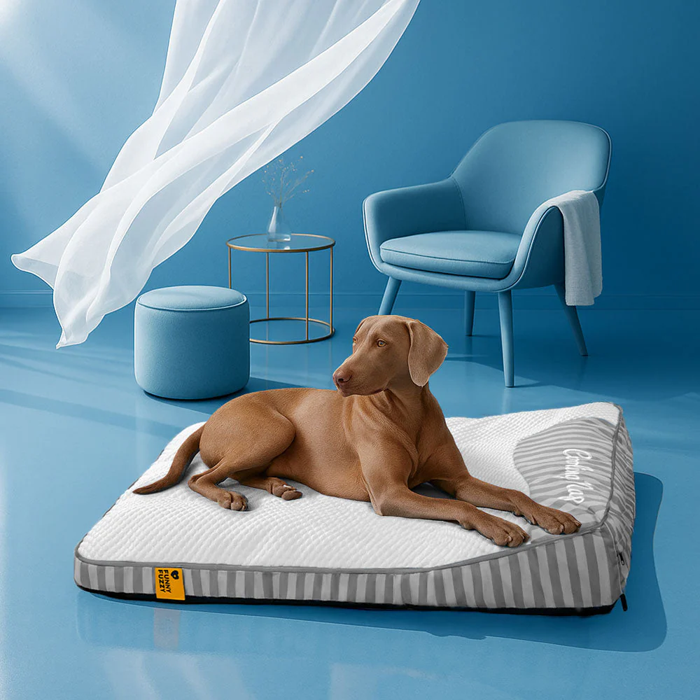 Lit orthopédique pour chien rectangulaire extra large lavable - Sieste rafraîchissante - Image 21