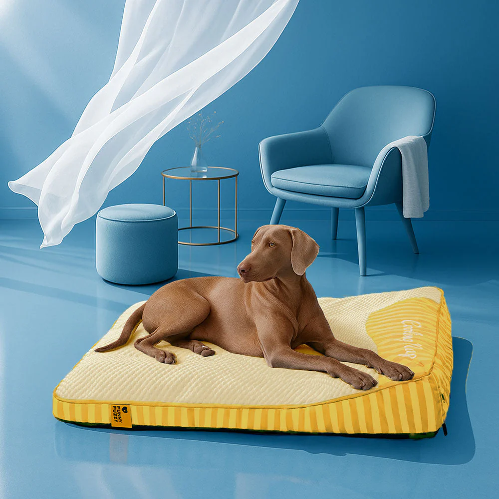 Lit orthopédique pour chien rectangulaire extra large lavable - Sieste rafraîchissante - Image 22