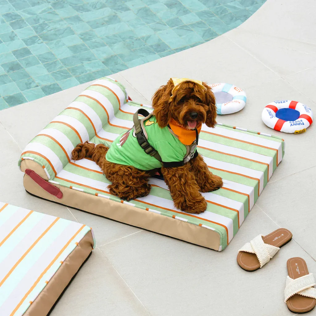 Lit orthopédique tapis rafraichissant chien - Chill Nest - Image 10