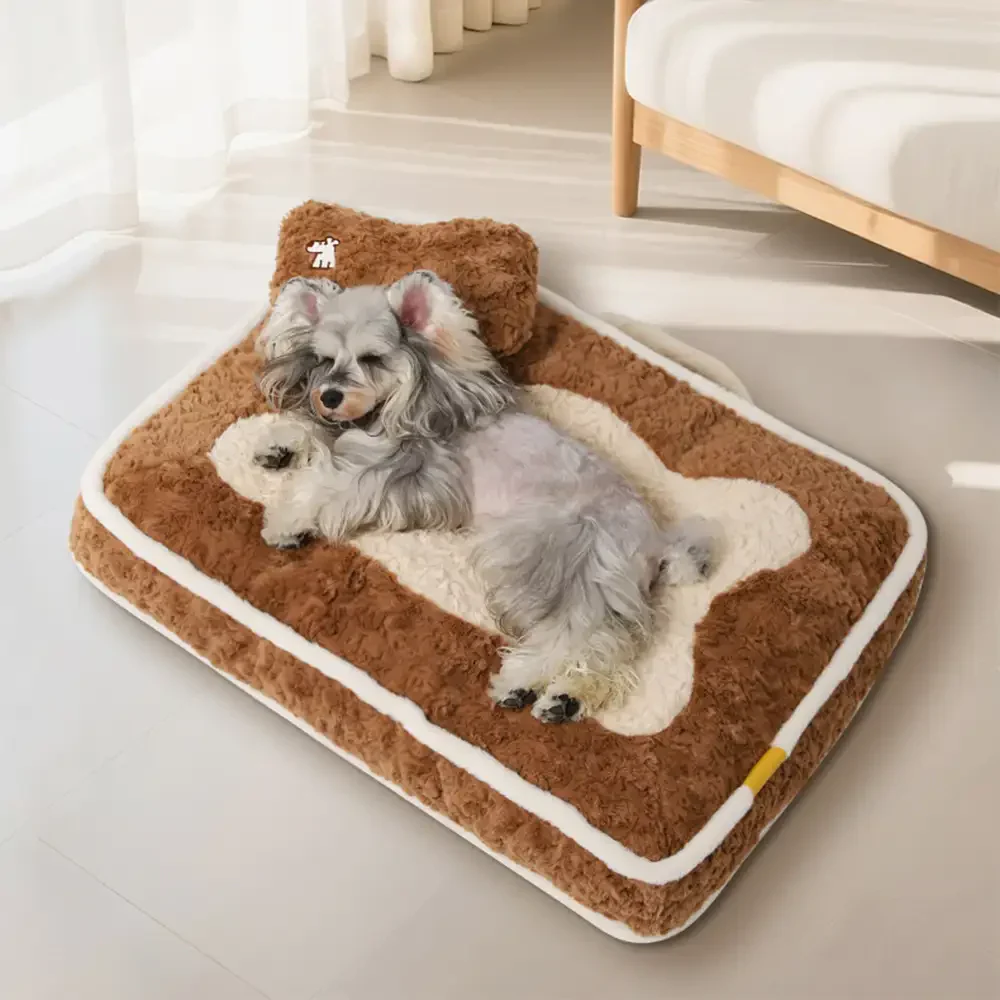 Lit pour animaux en peluche coloré et bloqué, créatif.