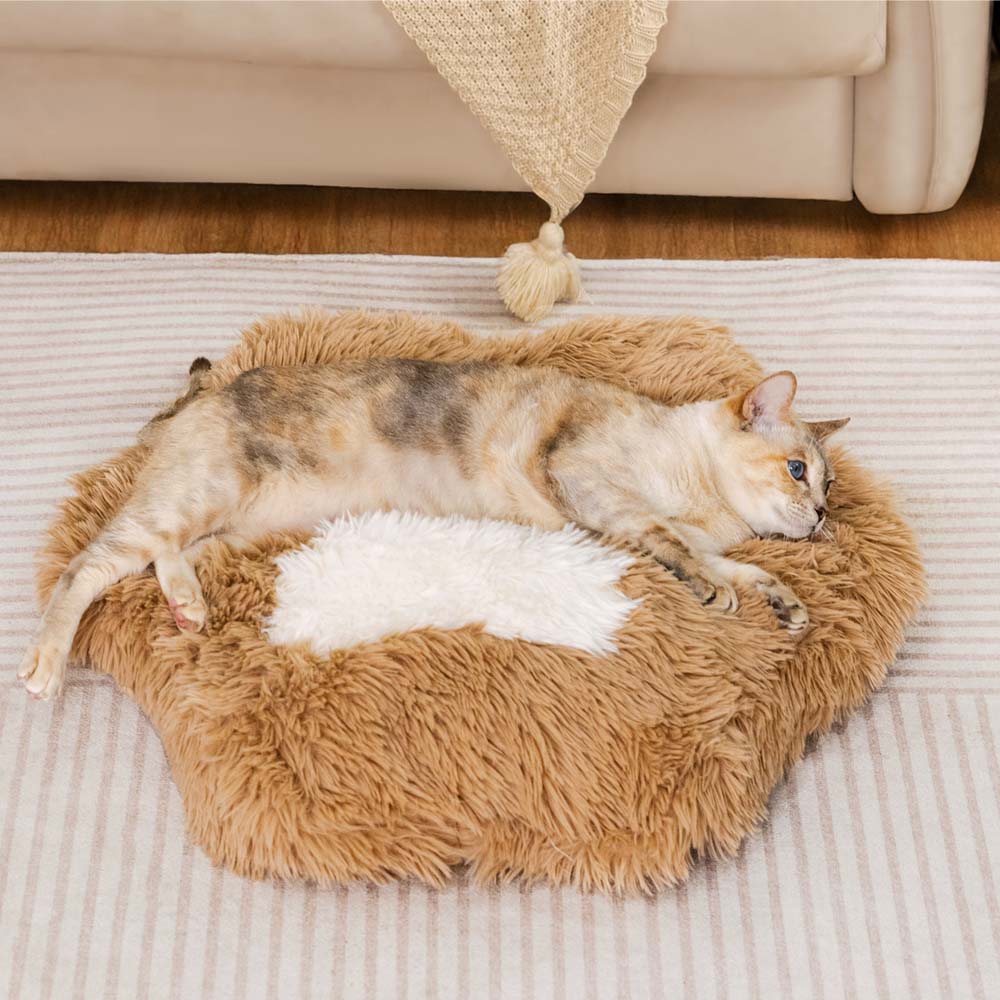 Lit pour chat lavable moelleux antidérapant et confortable - Pattes Spot - Image 4