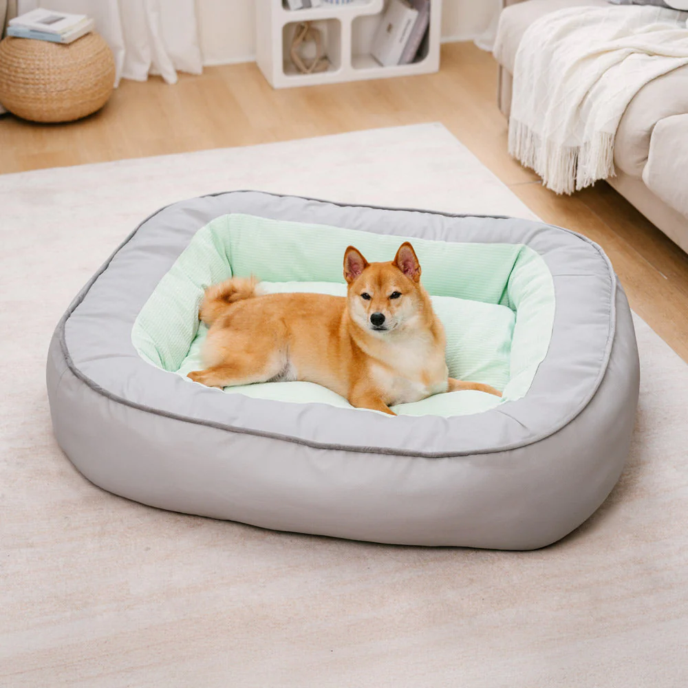 Lit pour chien en cuir PU imperméable antidérapant résistant aux rayures avec soutien complet - Image 2
