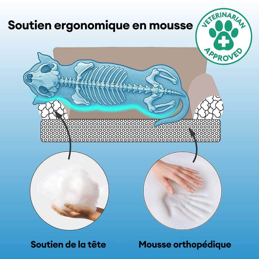 Luxe lit pour chien grand en simili cuir pliable orthopédique - CoreLounge - Image 4