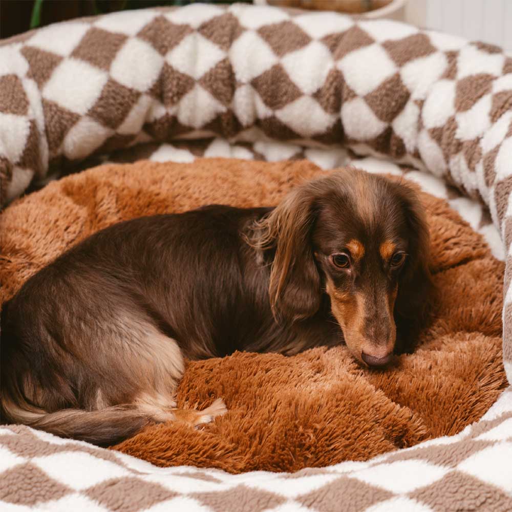 Panier pour chien lavable classique Argyle Bolster Donut - Cozy Haven - Image 5