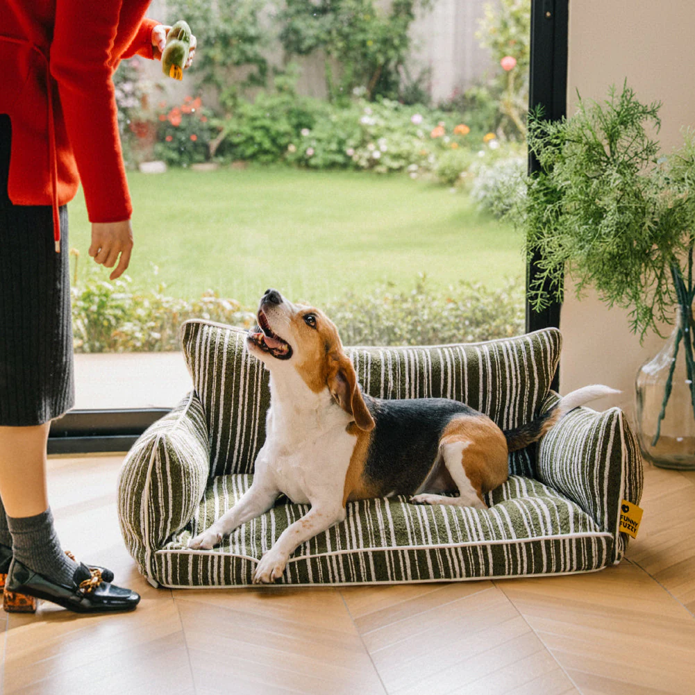 Lit pour chien orthopédique toutes saisons - Funnyfuzzy SnugNest - Image 10