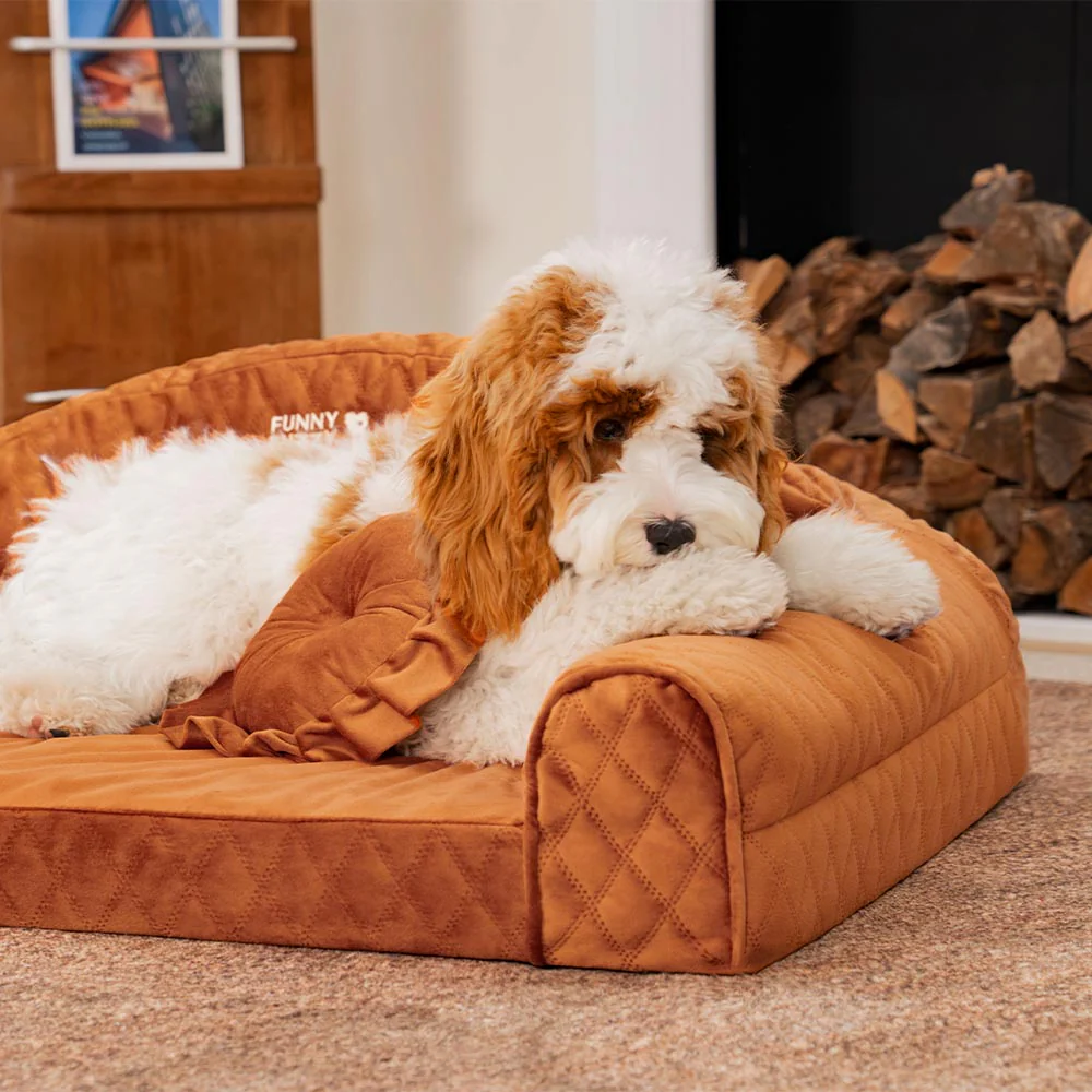Lit pour chien Pinky Cozy Bolster - Princesse Lord - Image 16