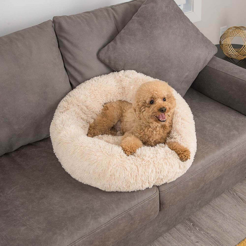 Lit pour Chien - Rond Douillet - Image 6