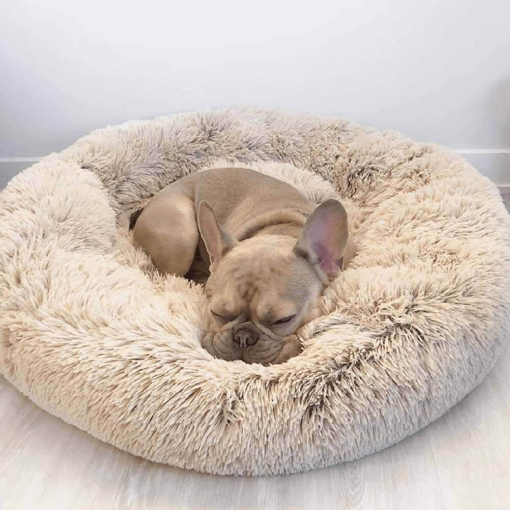 Lit pour Chien - Rond Douillet - Image 9