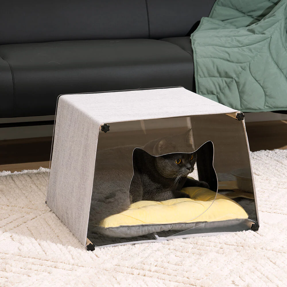 Maison d'intérieur en acrylique avec structure en bois massif pour chat - Image 10
