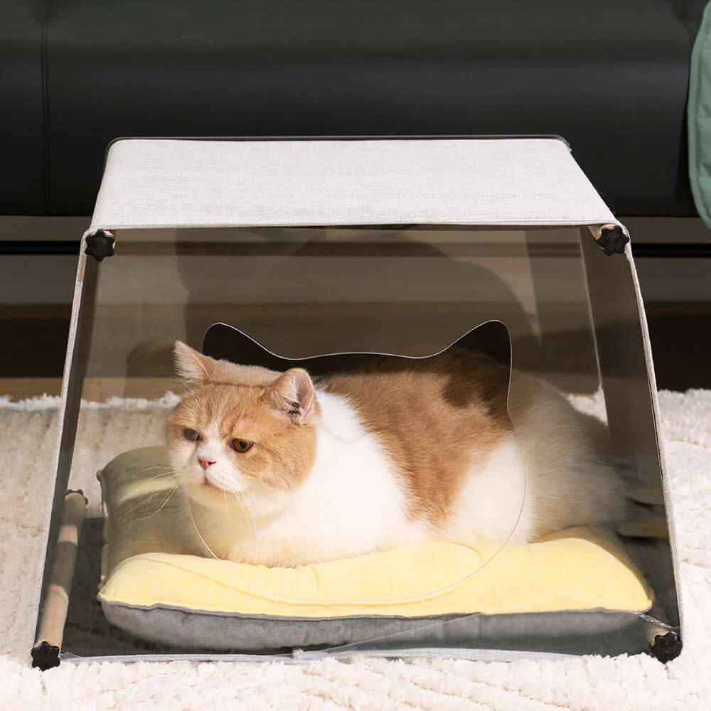 Maison d'intérieur en acrylique avec structure en bois massif pour chat - Image 2