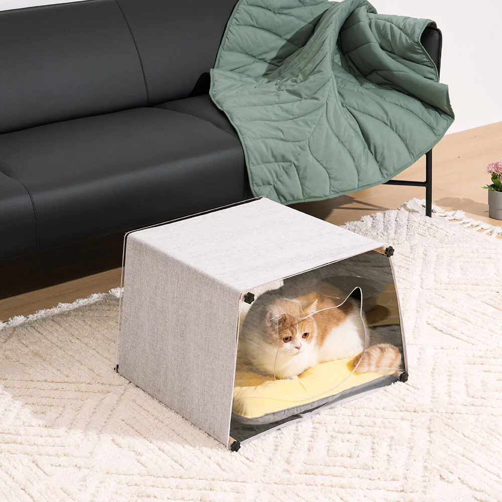 Maison d'intérieur en acrylique avec structure en bois massif pour chat - Image 3