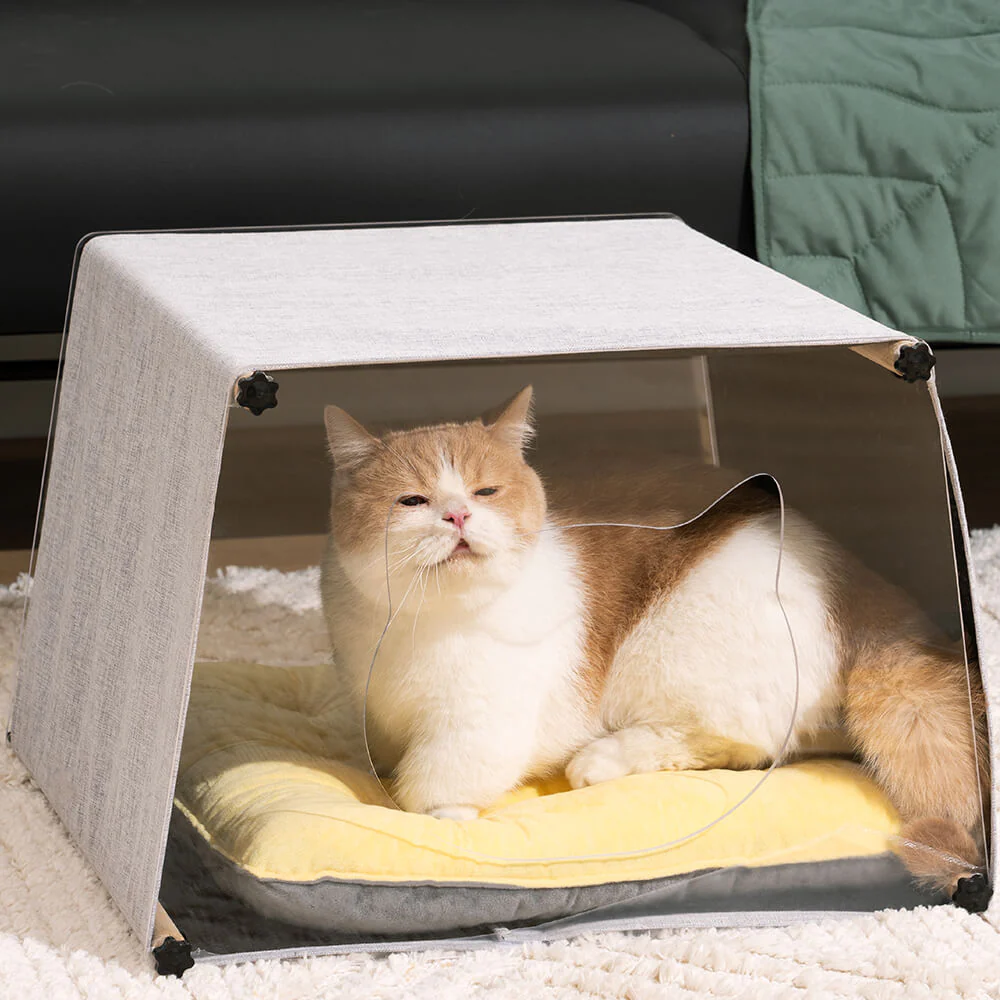Maison d'intérieur en acrylique avec structure en bois massif pour chat - Image 9