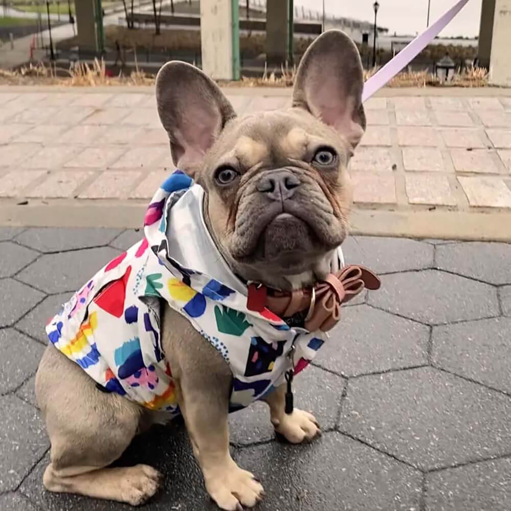 Manteau de pluie imperméable réversible pour chien - Graffiti et irisé - Image 2