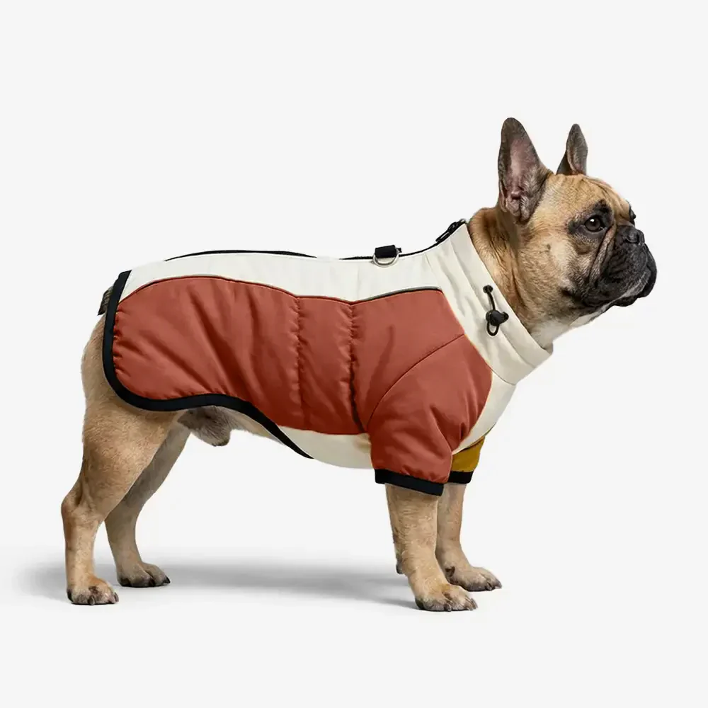 Manteau pour chien chaud en polaire à blocs de couleurs rétro avec boucle pour laisse. - Image 2