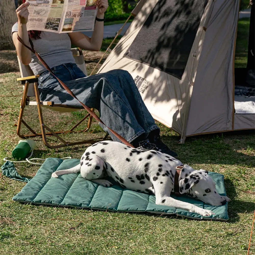 Matelas pour chien pliable, portable et réversible, résistant à l'eau, pour les voyages et le camping en extérieur. - Image 15