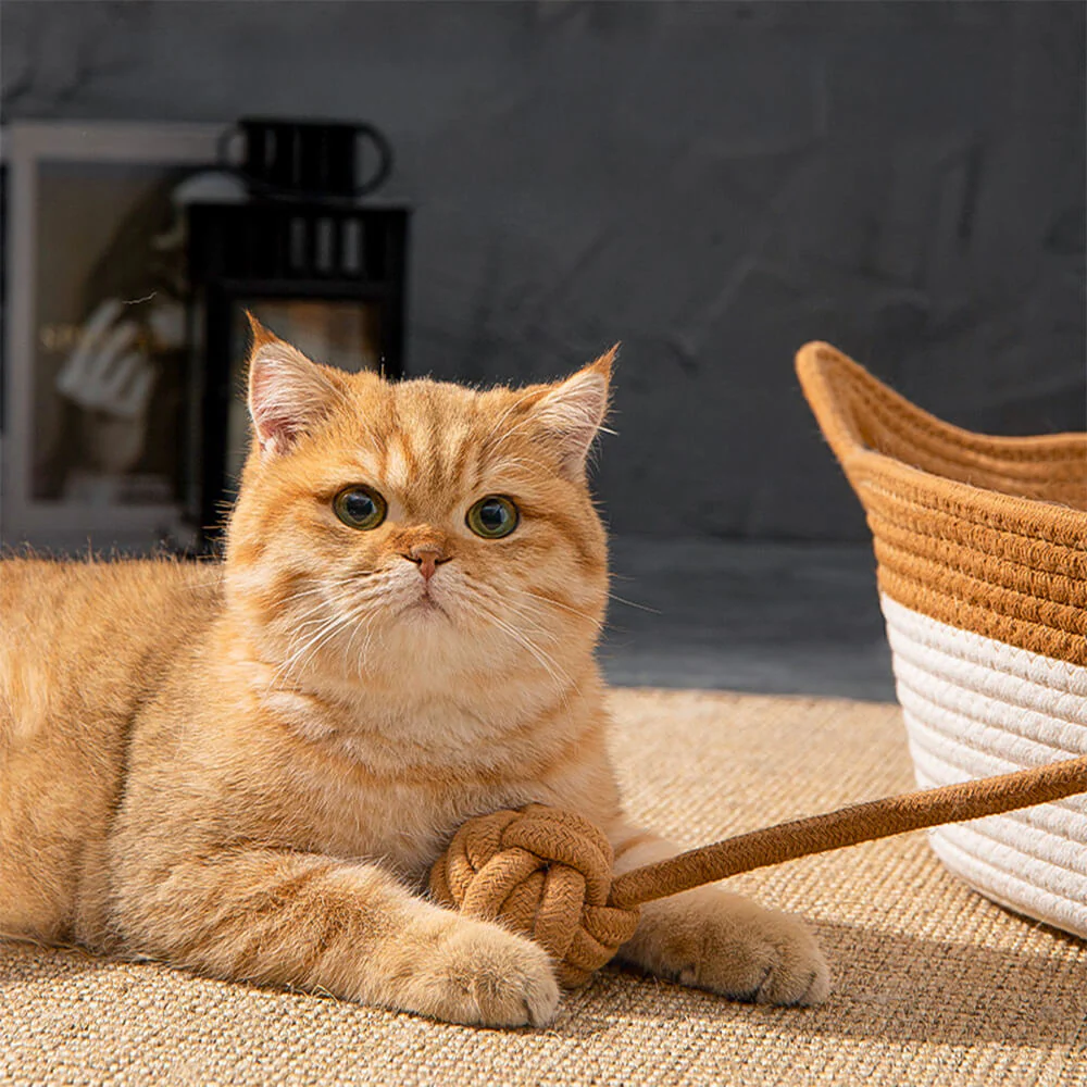 Nid pour chat tissé durable confortable polyvalent fait main - Image 5