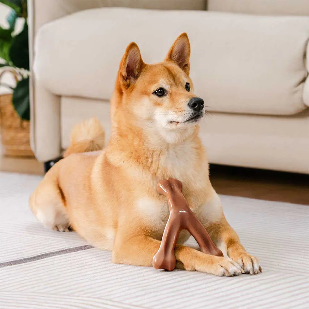 Os à mâcher pour chiot - Saveur bacon - Image 4
