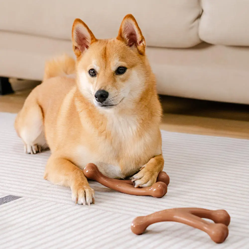 Os à mâcher pour chiot - Saveur bacon - Image 5