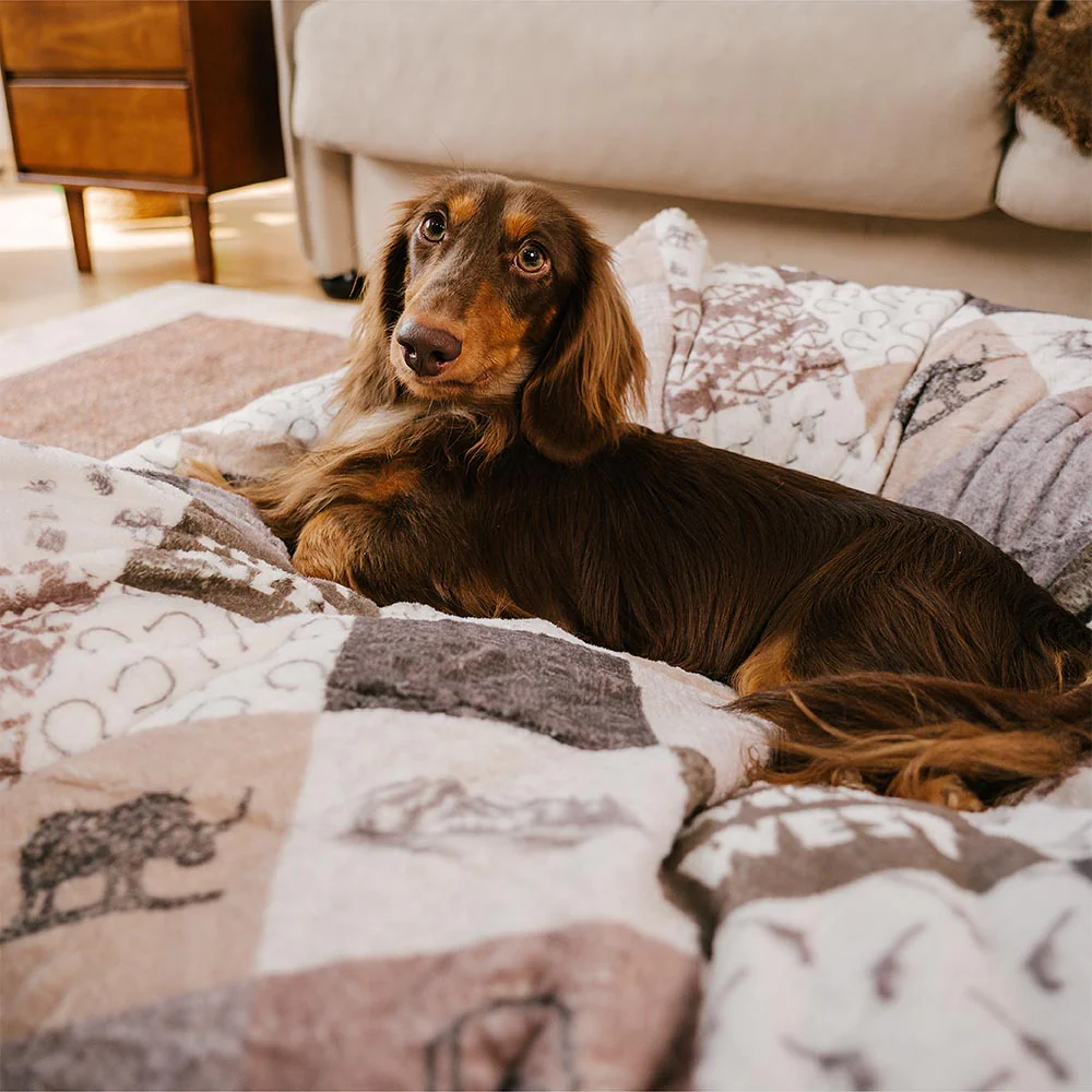 Panier pour Chien Anti-Griffures Lavable Boho avec Franges Apaisant Rond - Nuit Chasser - Image 7