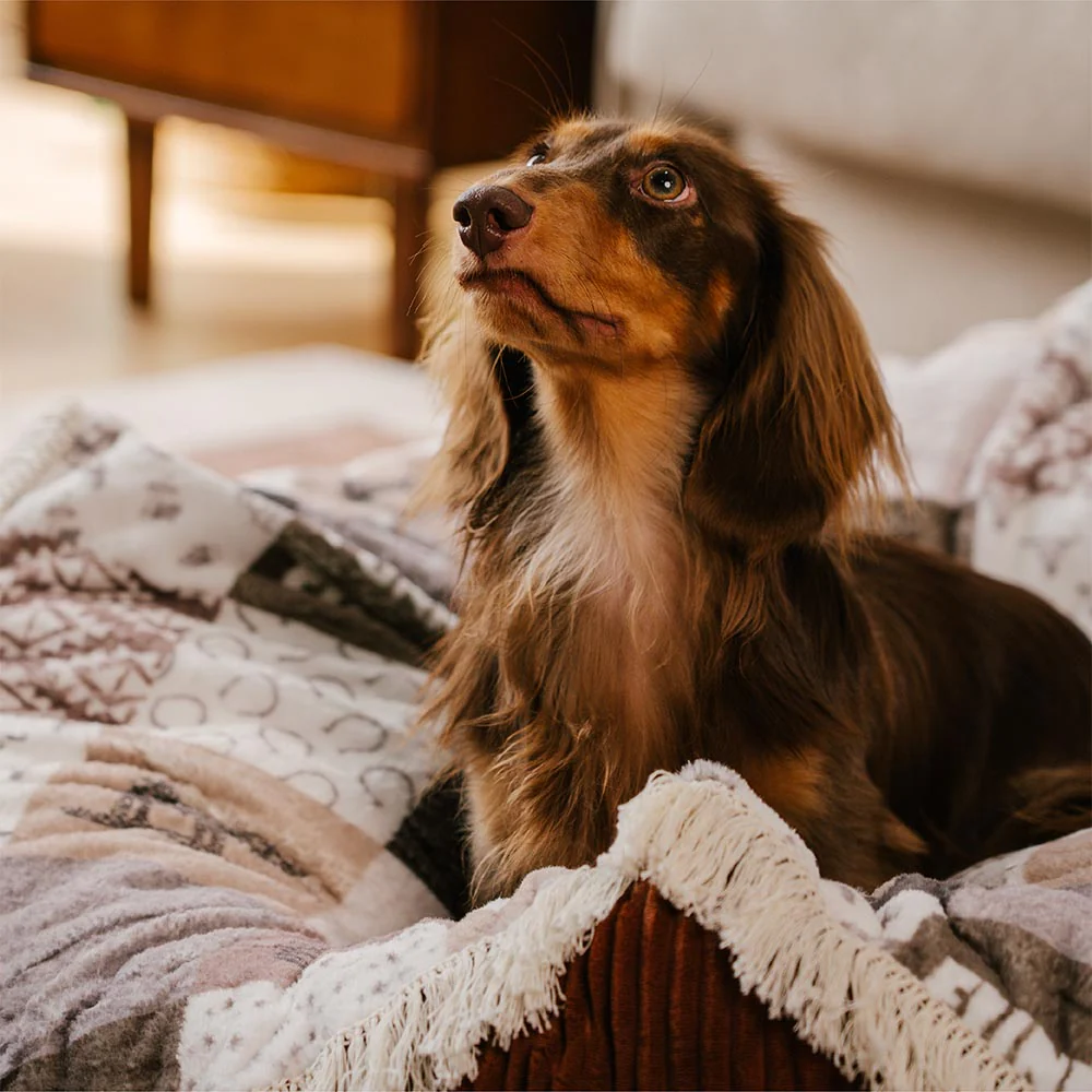 Panier pour Chien Anti-Griffures Lavable Boho avec Franges Apaisant Rond - Nuit Chasser - Image 8