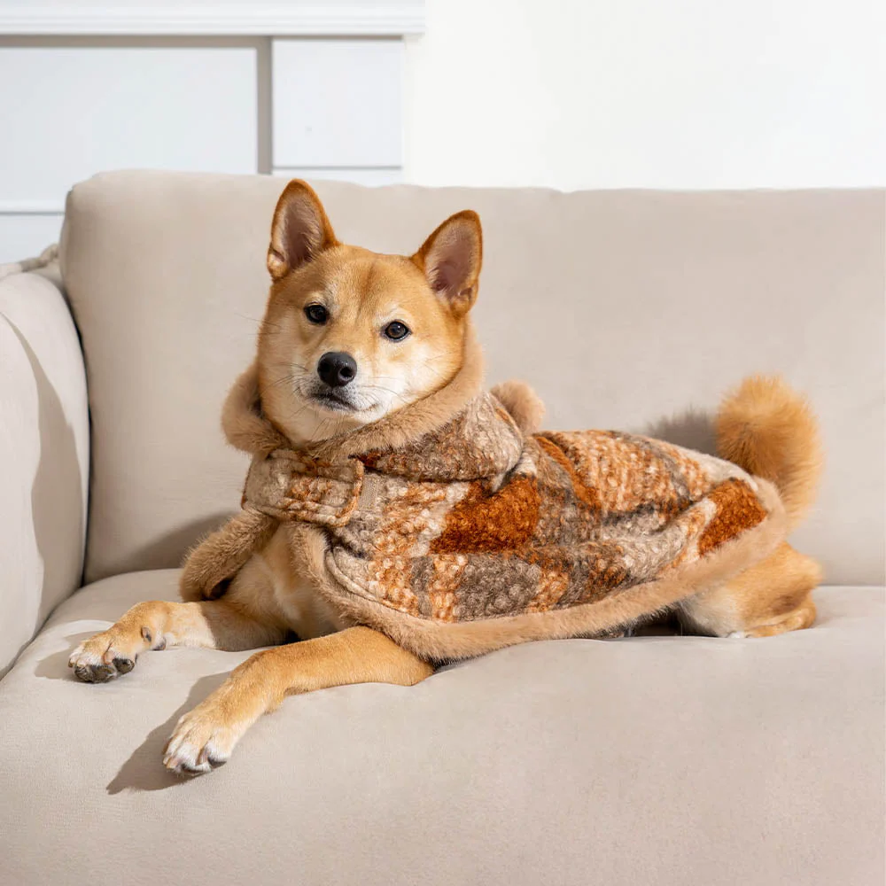 Poncho chaud à carreaux classique pour homme et chien - Compagnons festifs - Image 19