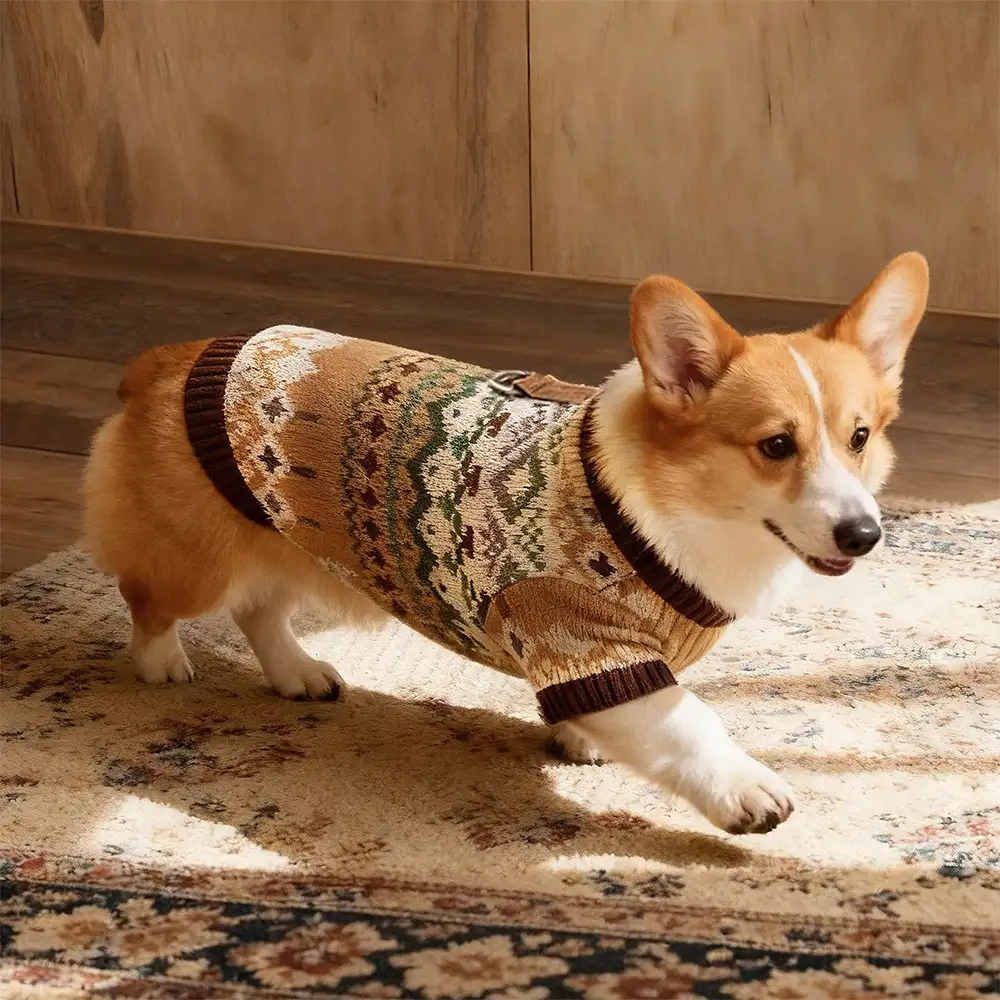 Pull Fair Isle vintage pour Teckel et petits à moyens chiens - Image 2