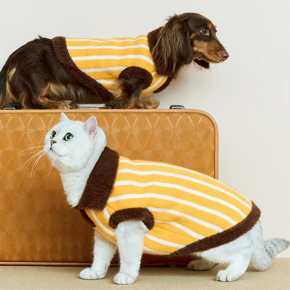 Pull pour chien en polyester à col polo rayé avec blocs de couleur de teckel. - Image 10