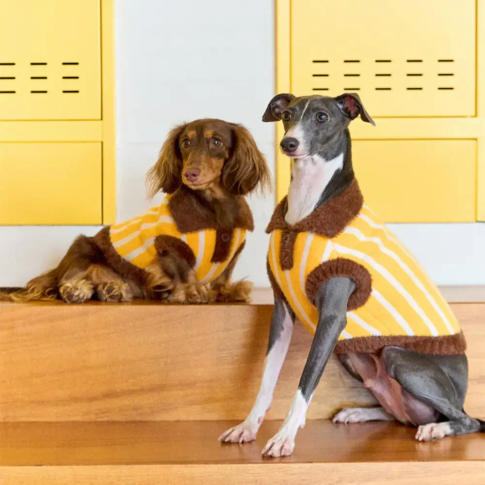 Pull pour chien en polyester à col polo rayé avec blocs de couleur de teckel. - Image 5