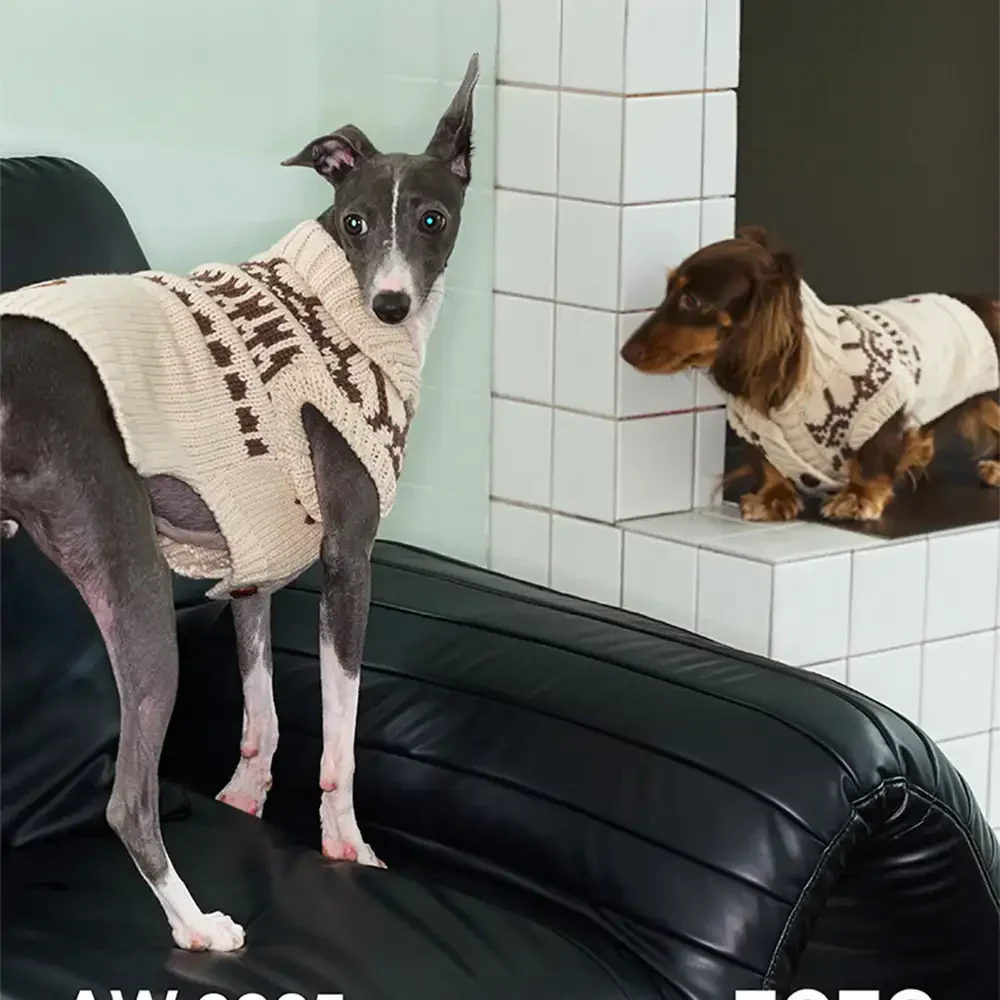 Pull pour chien sans manches en motif Fair Isle pour teckel - Image 5