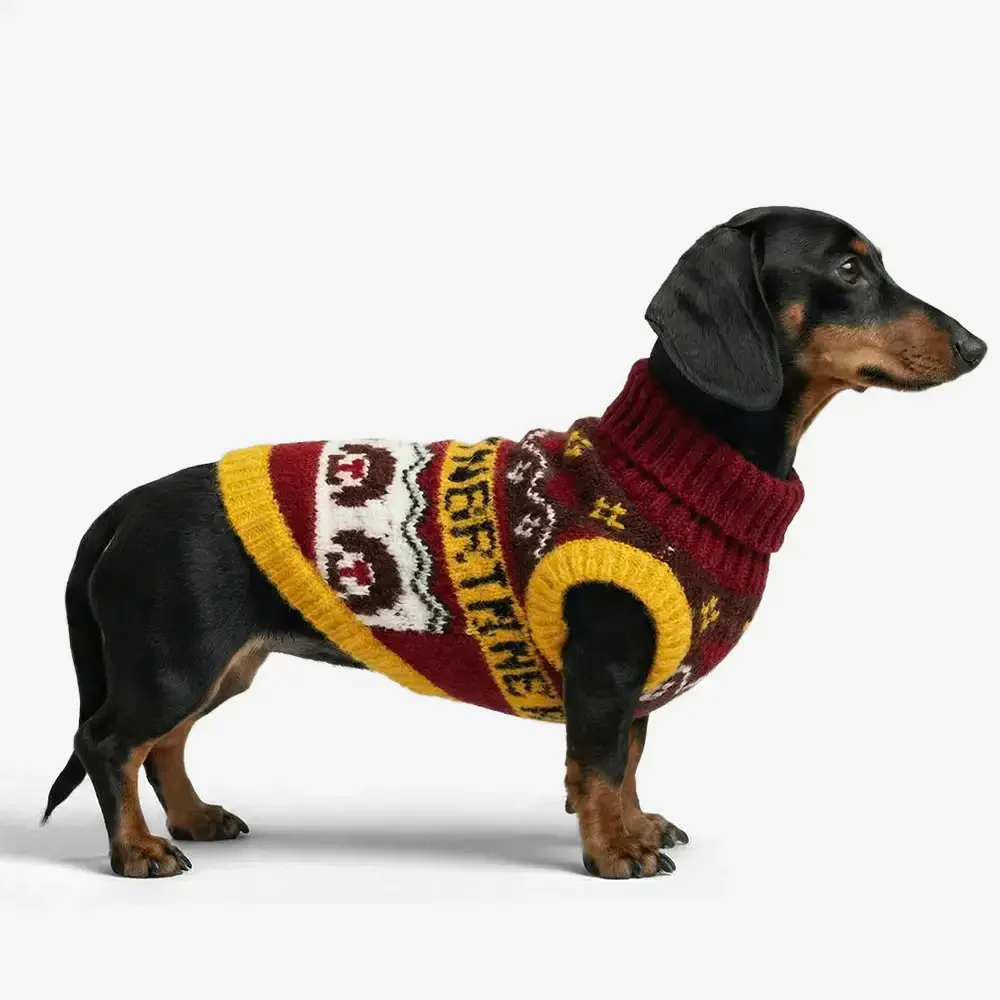 Pull pour chien sans manches en tricot Jacquard épais – Conçu pour les Teckels, Bouledogues français et Carlin.
