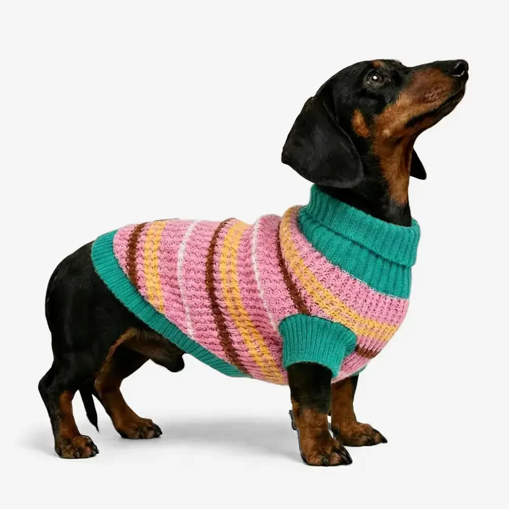 Pull pour chien teckel à rayures en blocs de couleurs