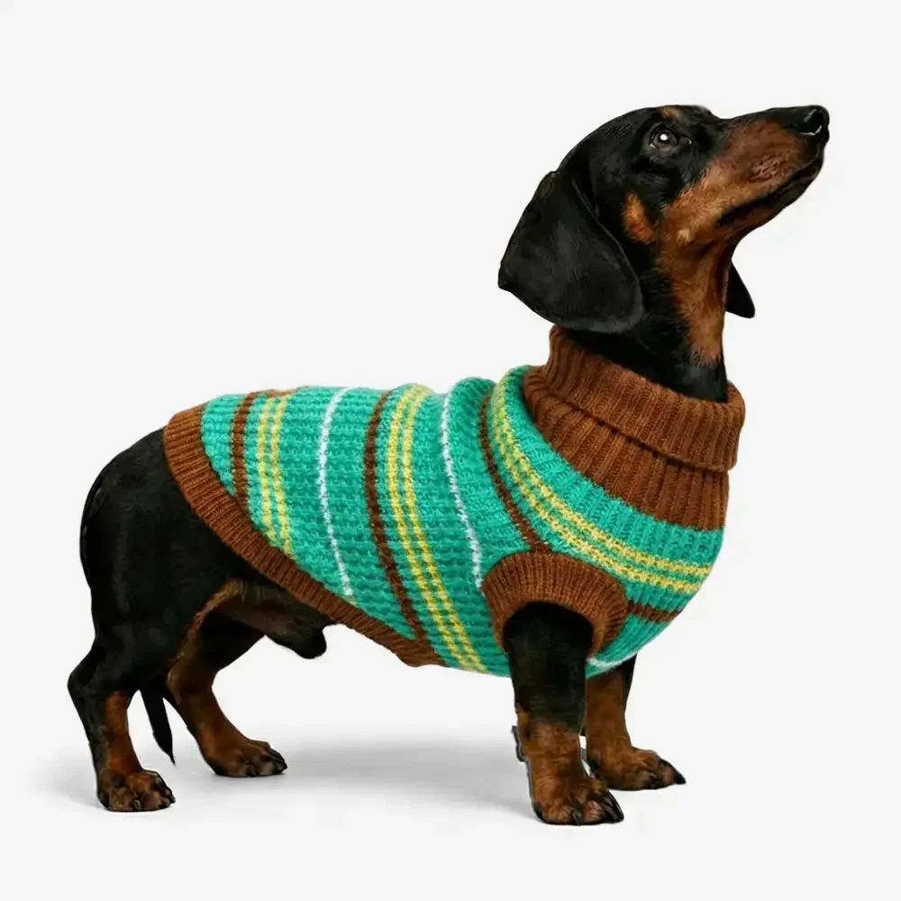 Pull pour chien teckel à rayures en blocs de couleurs - Image 2