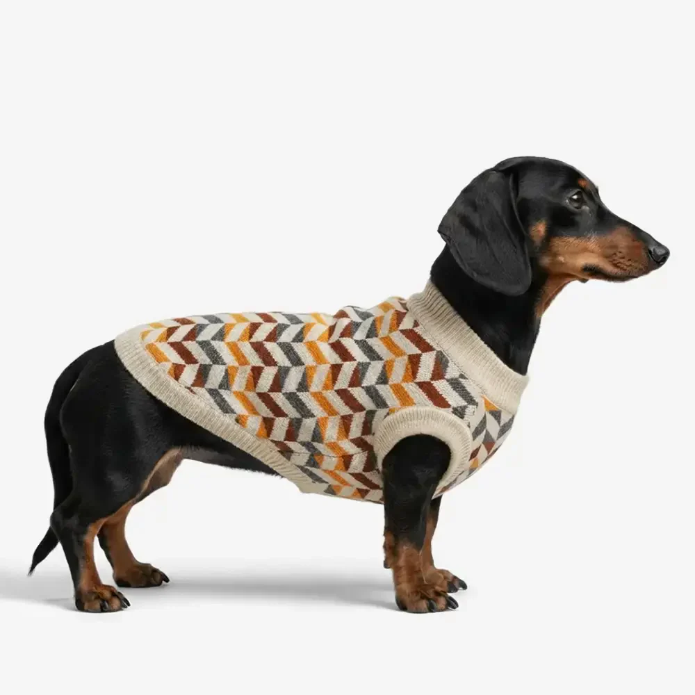 Pull pour chien teckel à rayures en diamant