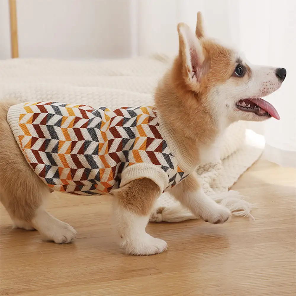 Pull pour chien teckel à rayures en diamant - Image 2