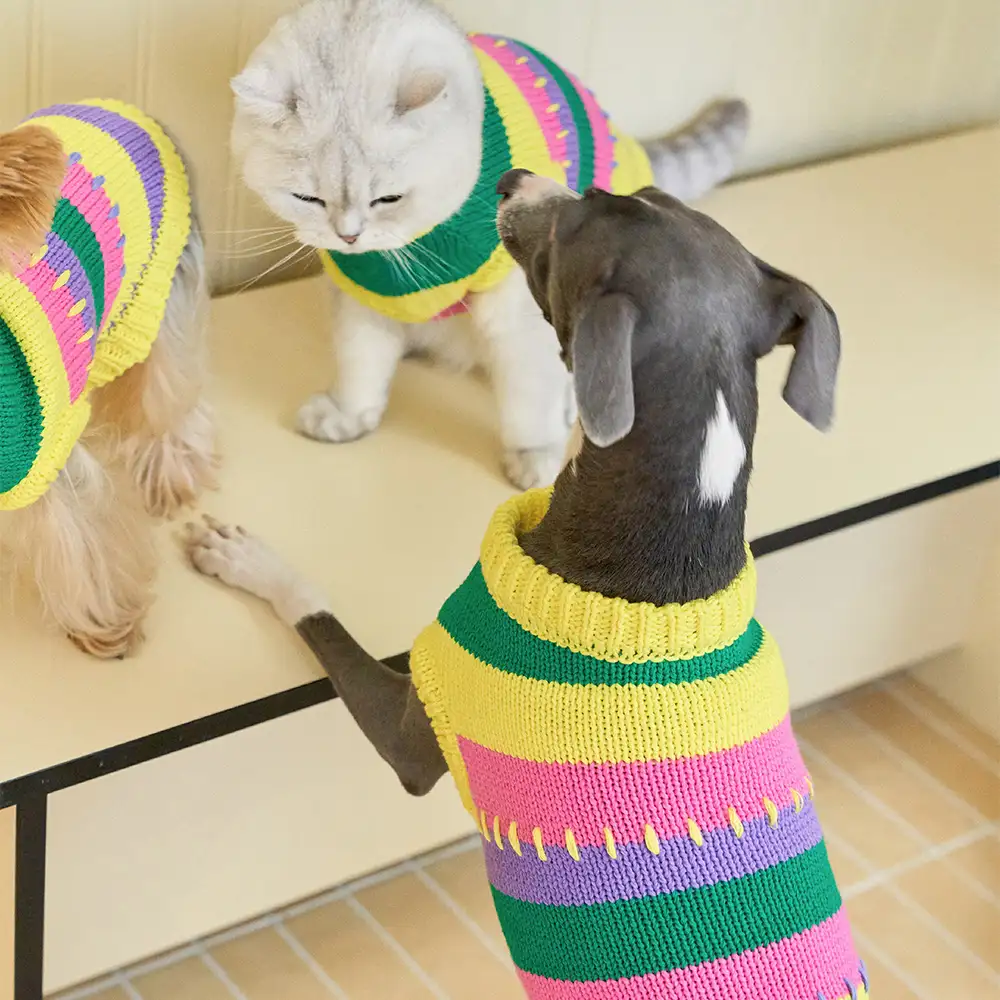Pull sans manches pour chien en dachshund à rayures avec blocs de couleur - Image 10