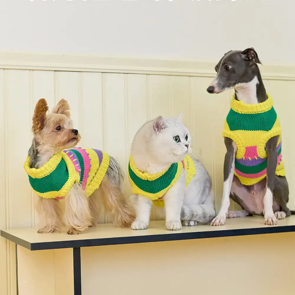 Pull sans manches pour chien en dachshund à rayures avec blocs de couleur - Image 2