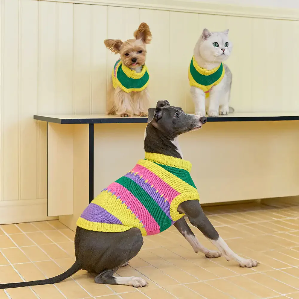 Pull sans manches pour chien en dachshund à rayures avec blocs de couleur - Image 3