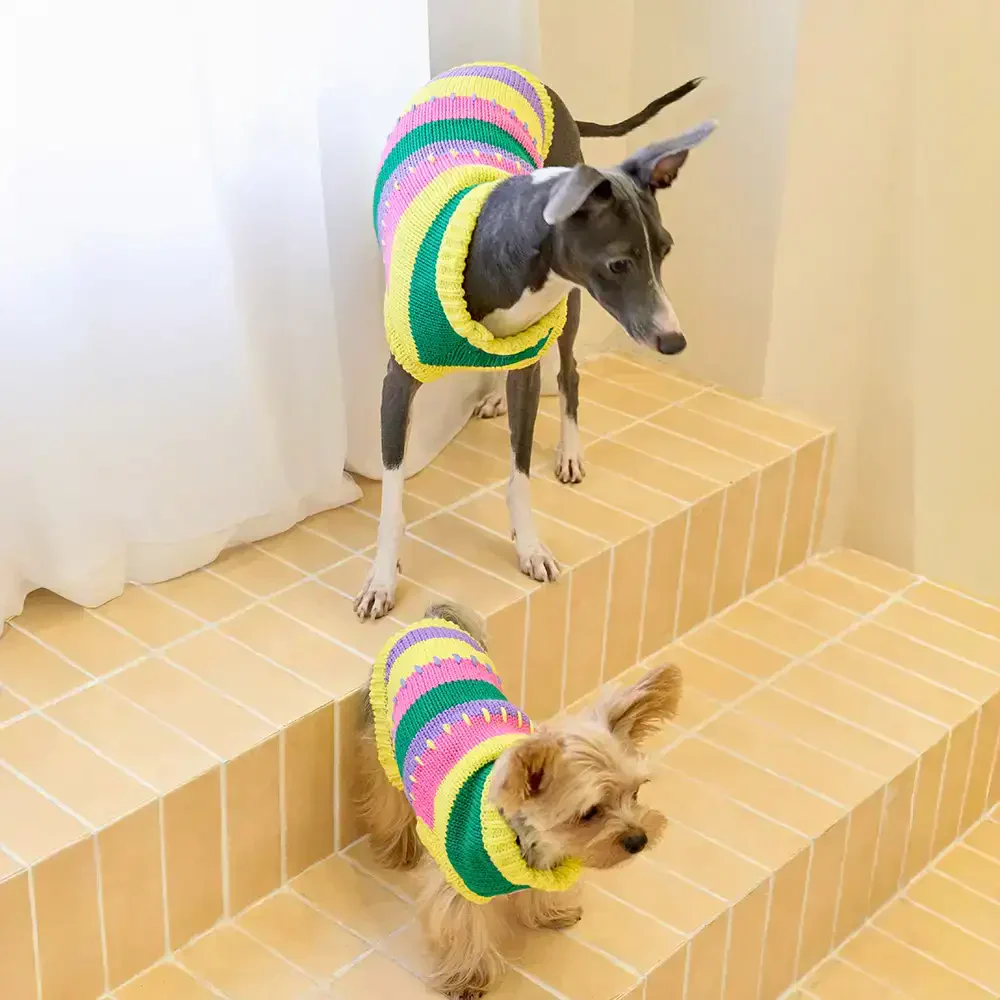 Pull sans manches pour chien en dachshund à rayures avec blocs de couleur - Image 4