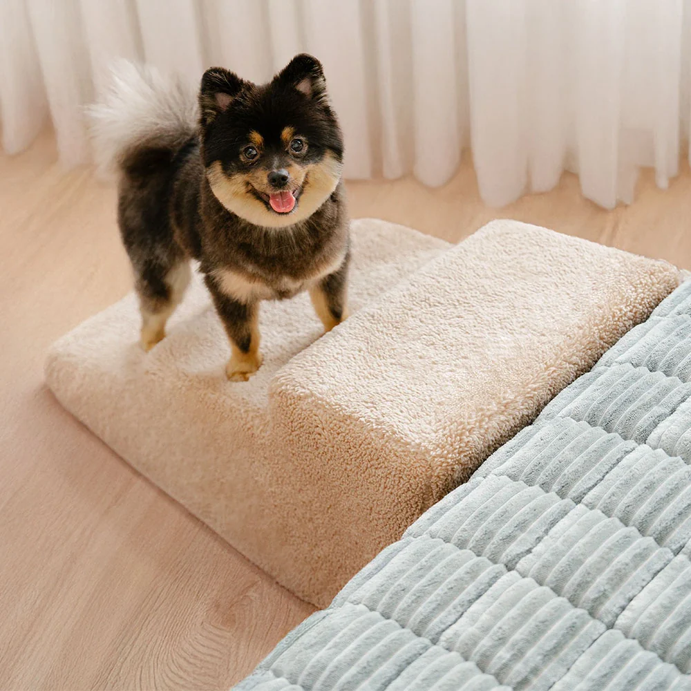 Rampe d'accès douce pour chien escalier pour lit et canapé protection des articulations - Image 10