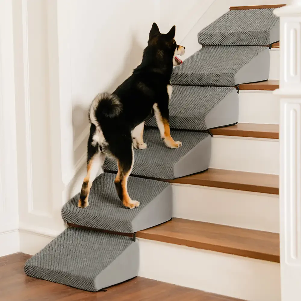 Rampe et escaliers modulaires en mousse pour chien pour escaliers avec Velcro - Image 4