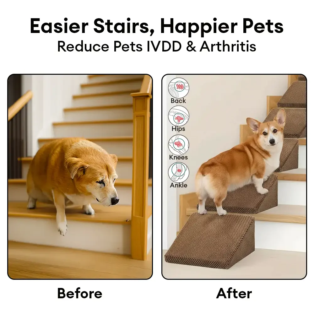 Rampe et escaliers modulaires en mousse pour chien pour escaliers avec Velcro - Image 6