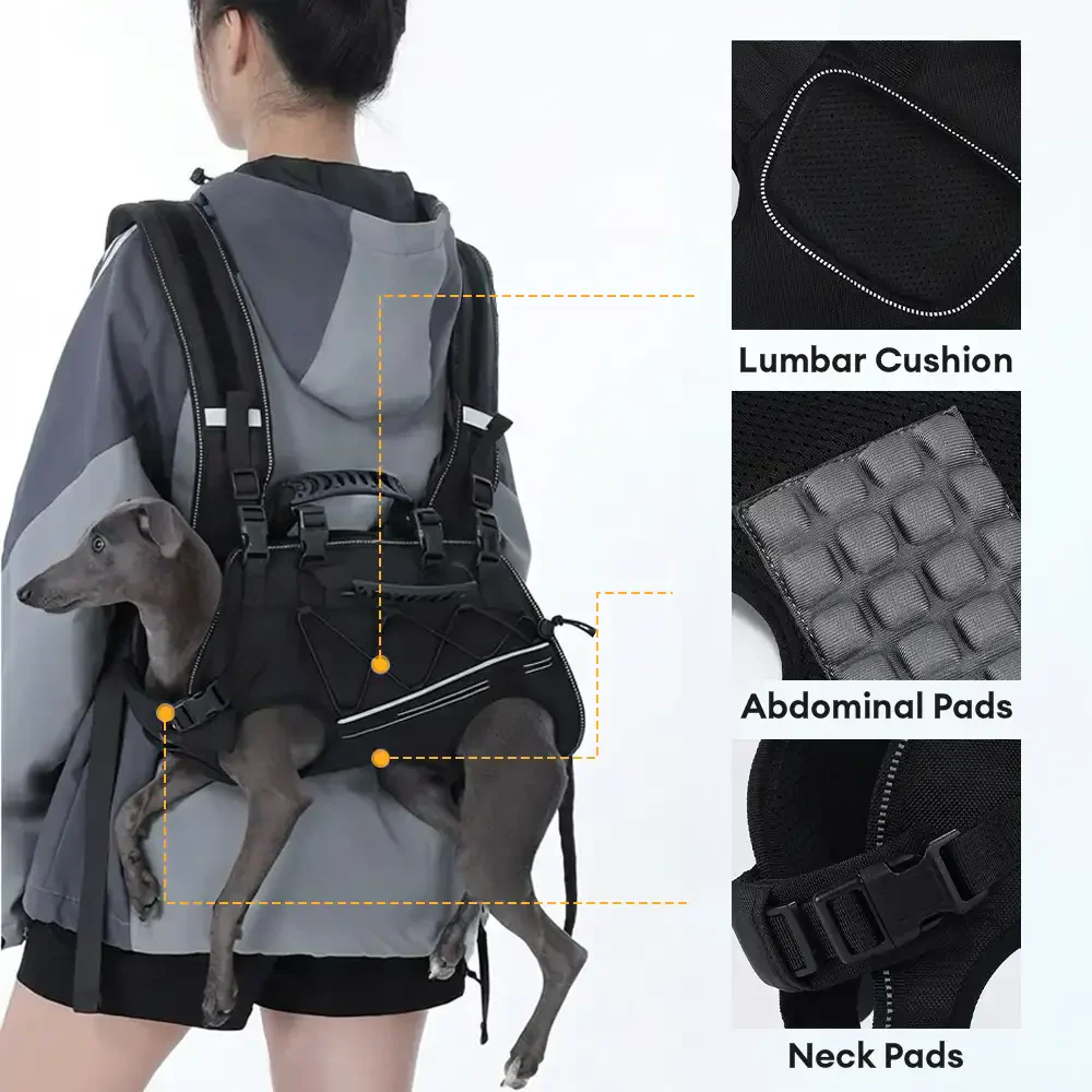 Sac à dos horizontal pour chien, respectueux de la colonne vertébrale, avec des sangles rembourrées ajustables - Confort jambes sorties - Image 5