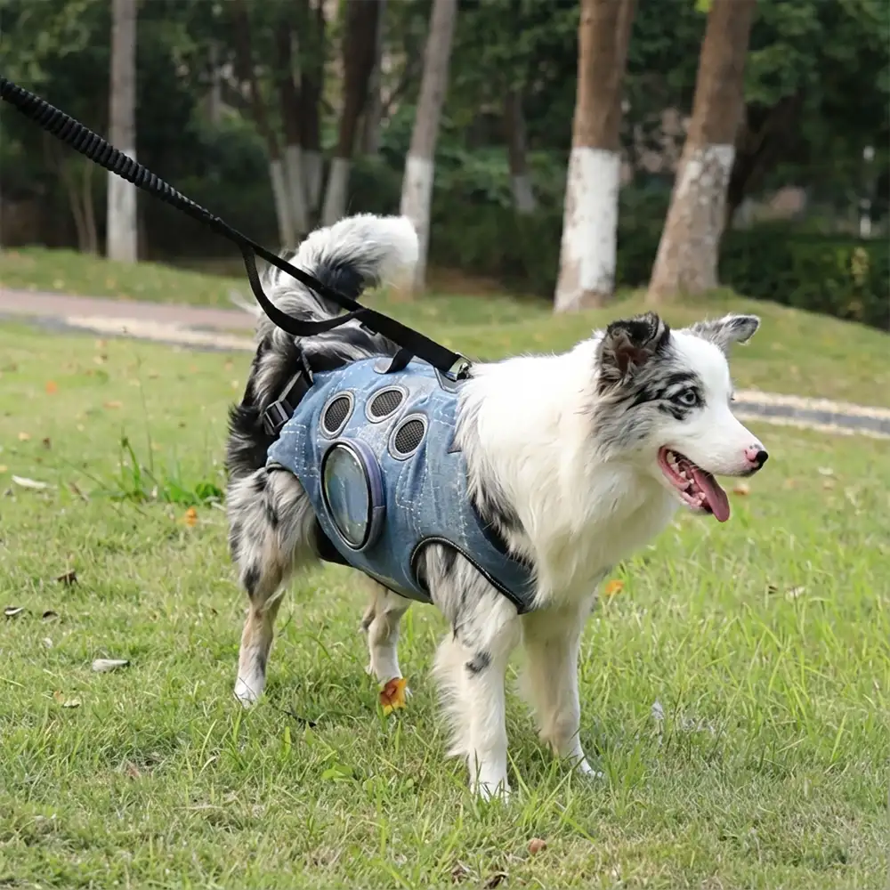 Sac à dos porte-chien mains libres pour les voyages et la randonnée – Sac multifonctionnel pour chiens de taille moyenne - Image 2