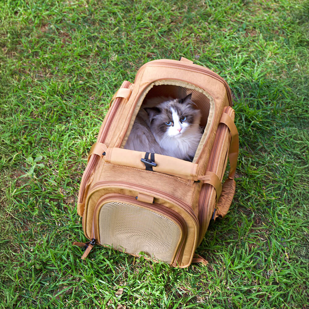 Sac de transport pour chat à bandoulière unique avec large espace extensible - Image 6